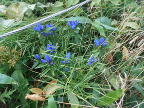 DSCN5358