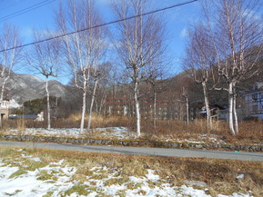 DSCN6121