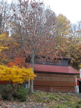 DSCN1178