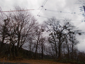 DSCN1433