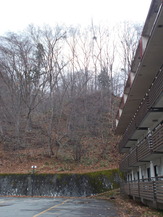 DSCN1464