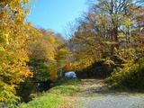46c07137.jpg