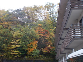DSCN0954