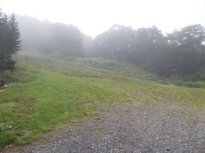 DSCN0010