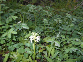 DSCN0935