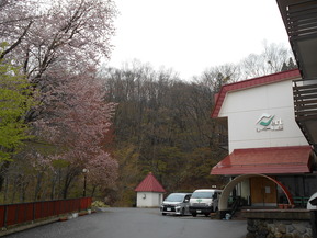 DSCN6441