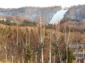 DSCN1760