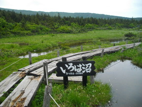 IMGP0973