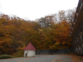DSCN5862
