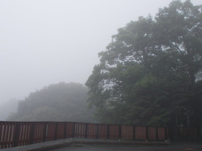 DSCN0005