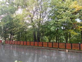 DSCN0587