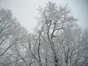 IMGP3844