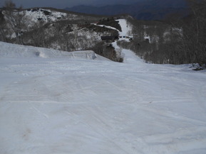 DSCN1481