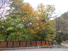 DSCN0810