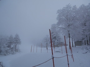 DSCN1745