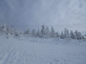DSCN0643