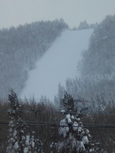 DSCN4904