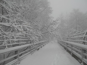 DSCN8392