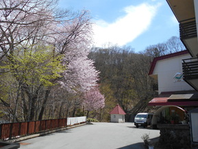 DSCN1932