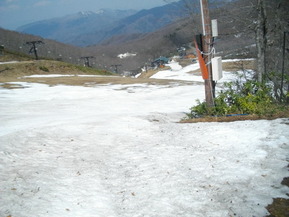 IMGP4885