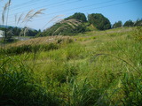 577e7b5c.jpg