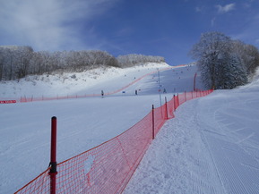 DSCN0745