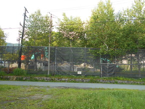 DSCN0994