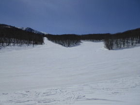DSCN1506