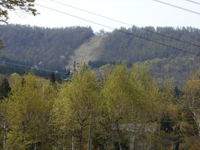 DSCN4231