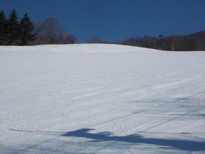 DSCN2319