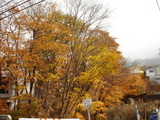 5d360552.jpg