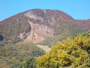 DSCN0881