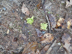 DSCN0180