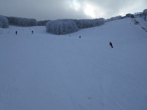 DSCN0334