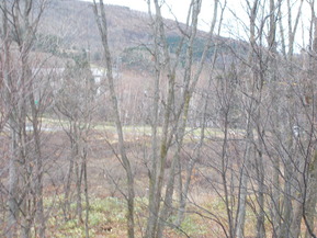 DSCN1445