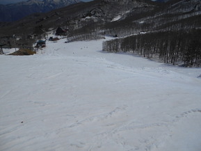 DSCN5981