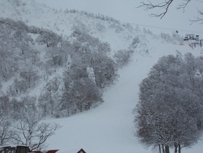 DSCN2085