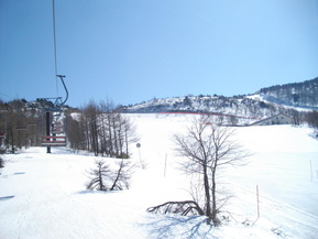 IMGP9184