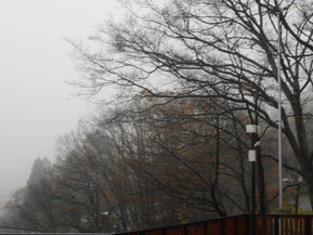 DSCN6043