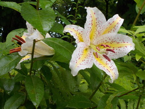 DSCN0143