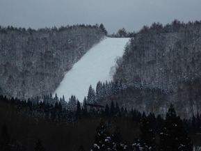 DSCN8364