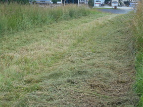 DSCN4901