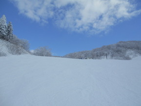 DSCN8469
