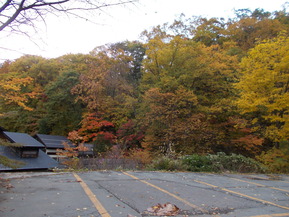 DSCN1028