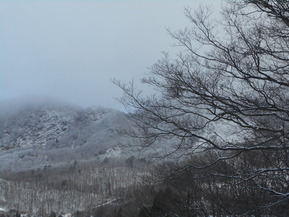 DSCN6178
