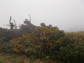 DSCN0609