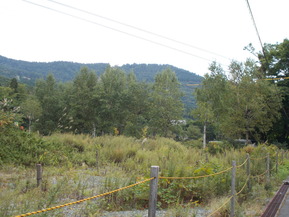 DSCN0552