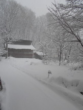 DSCN1935