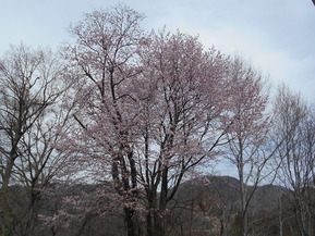 DSCN0170