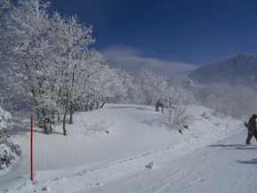 DSCN0761